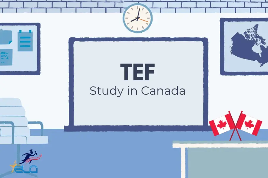 آزمون TEF فرانسه